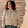 Let's Knit A Sweater: Feb 6 - March 6