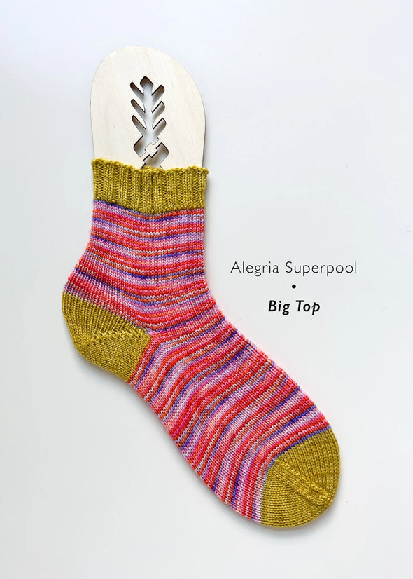 Alegria Superpool Sock Kits