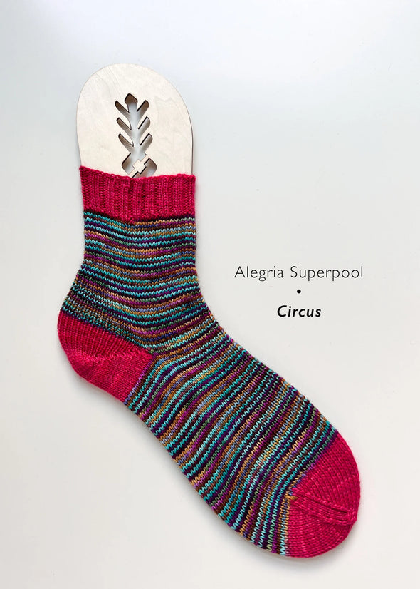 Alegria Superpool Sock Kits