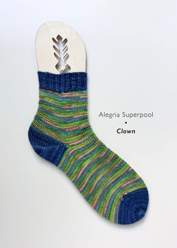 Alegria Superpool Sock Kits