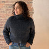 Let's Knit A Sweater: Feb 6 - March 6