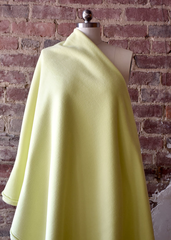 Glacier Fleece by the 1/4 yard