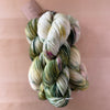 Alegria Space-Dyed Sock Yarn